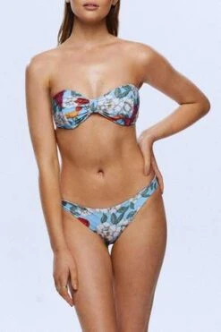 BaabyAlexis Brief - Botanical