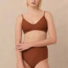 Hakea SwimPalma Top - Rust -CYNTHIA ROWLEY Sales Store Hakea Palma Top Rust 20230202063954
