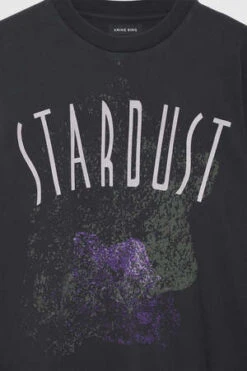 Anine BingJoel Tee - Stardust/Washed Black -CYNTHIA ROWLEY Sales Store Joel Tee Stardust in Washed Black 20230330224537 1