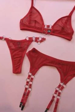 Kayleigh PeddieSandra Mesh Garter Belt With Rings - Red -CYNTHIA ROWLEY Sales Store Kayleigh Peddie Sandra Mesh Garter Belt with Rings Red 20231019221619